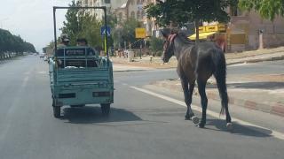 Atı motosiklete bağlayıp koşturdular
