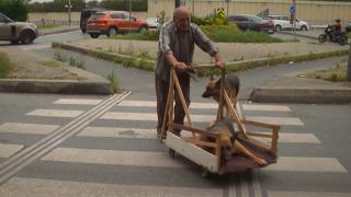 Hayatını adadığı yaşlı köpeğine yürüyemediği için "araba" yaptı