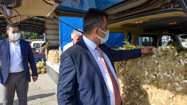 Kastamonuda mayıs ve haziranda kapalı olan "Sarımsak Pazarı" açıldı