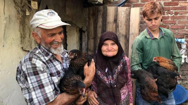 Kocaelide yürütülen proje kapsamında üreticilere bu yıl 15 bin "atak-s yarka tavuk" dağıtılacak