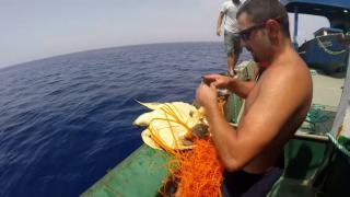 Deniz kaplumbağasını balıkçılar kurtardı