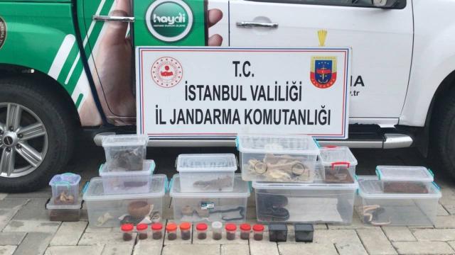 İstanbulda ticareti yasak olan 21 hayvan ele geçirildi