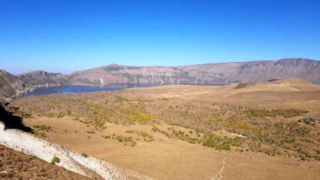 Nemrut Kalderasında yeni güve türü