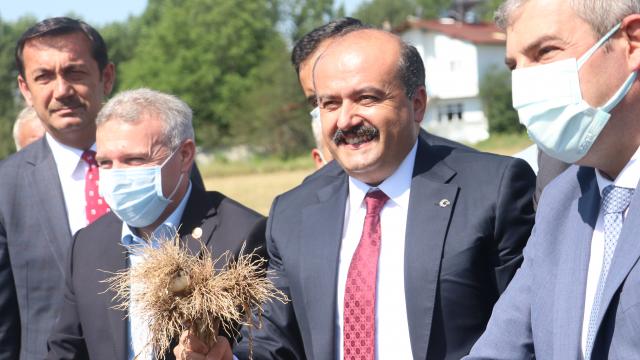 Tarım ve Orman Bakan Yardımcısı Metin, Taşköprüde sarımsak hasadına katıldı
