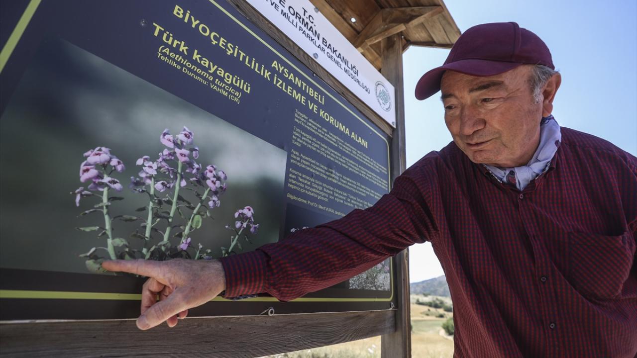 "Bu türlerin birçoğu Ayaş-Beypazarı-Nallıhan güzergahı ve yakın çevresinde"