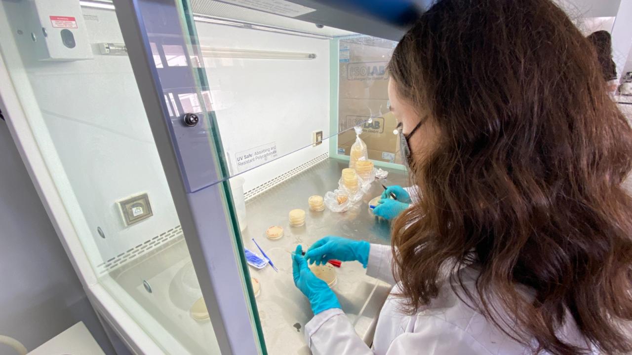 "Yeni ilaç ve antibiyotik keşiflerine yönelik çalışmalarımız da var"