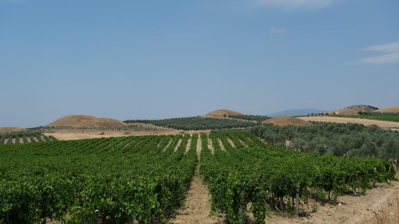 “Lidya Devleti yıkıldıktan sonra özellikle Roma ve Bizans döneminde dahi soygunlar başlamış”