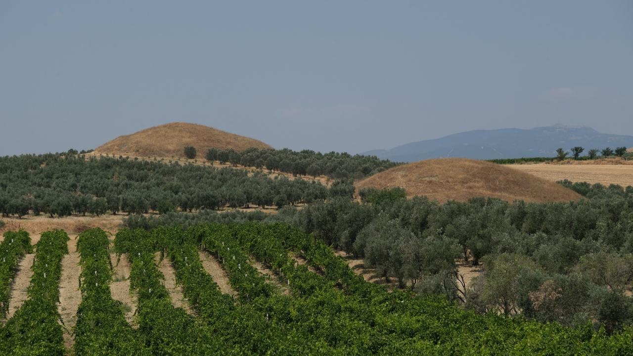“Binlerce yıldır herkesin gördüğü bir güzelliği yok etmek çok acı bir şey”