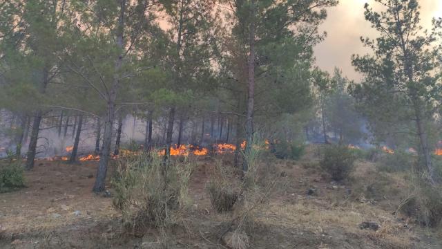 Mersinde çıkan orman yangınına havadan ve karadan müdahale ediliyor