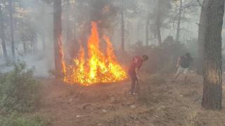 Yangının büyümesini ayaklarıyla engellediler