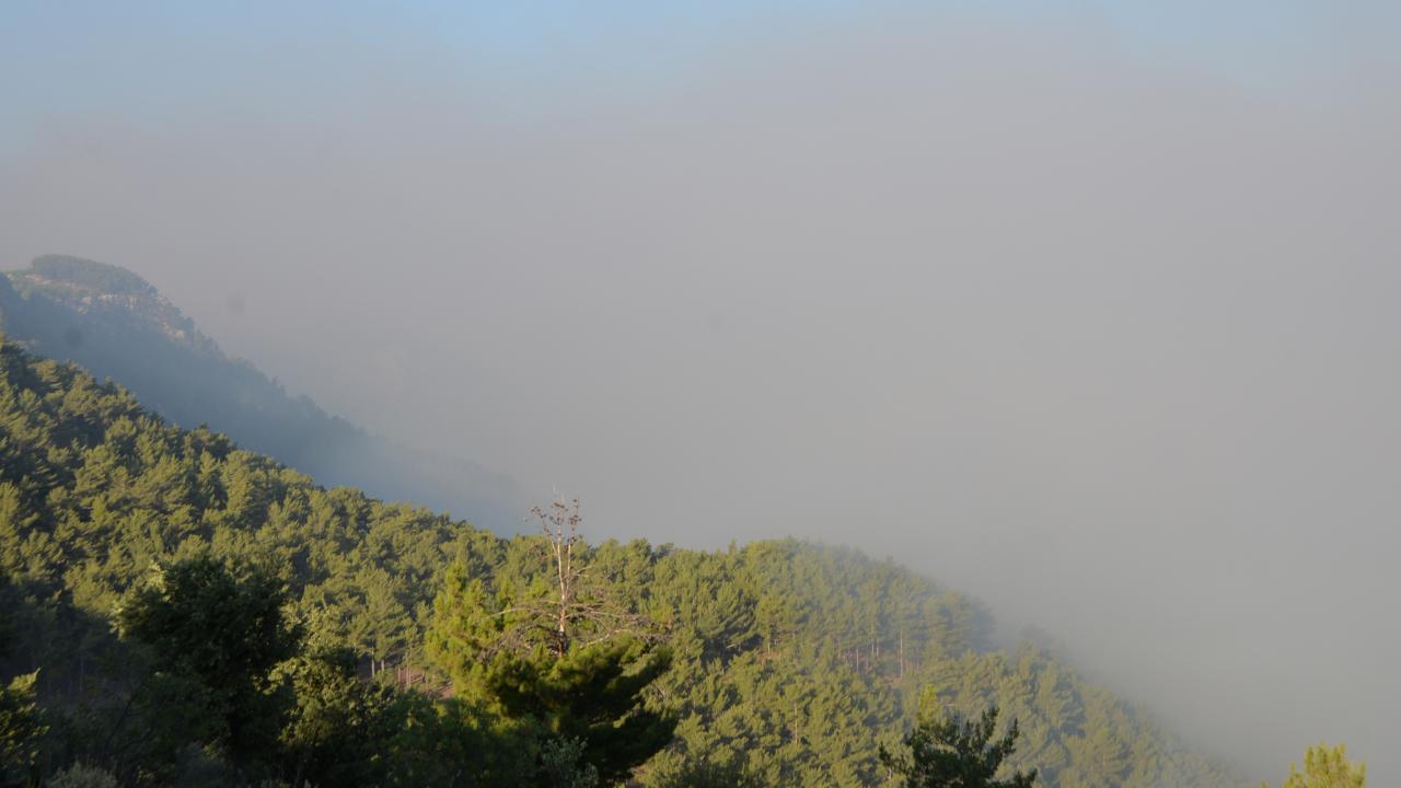 Havadan ve karadan müdahale devam ediyor