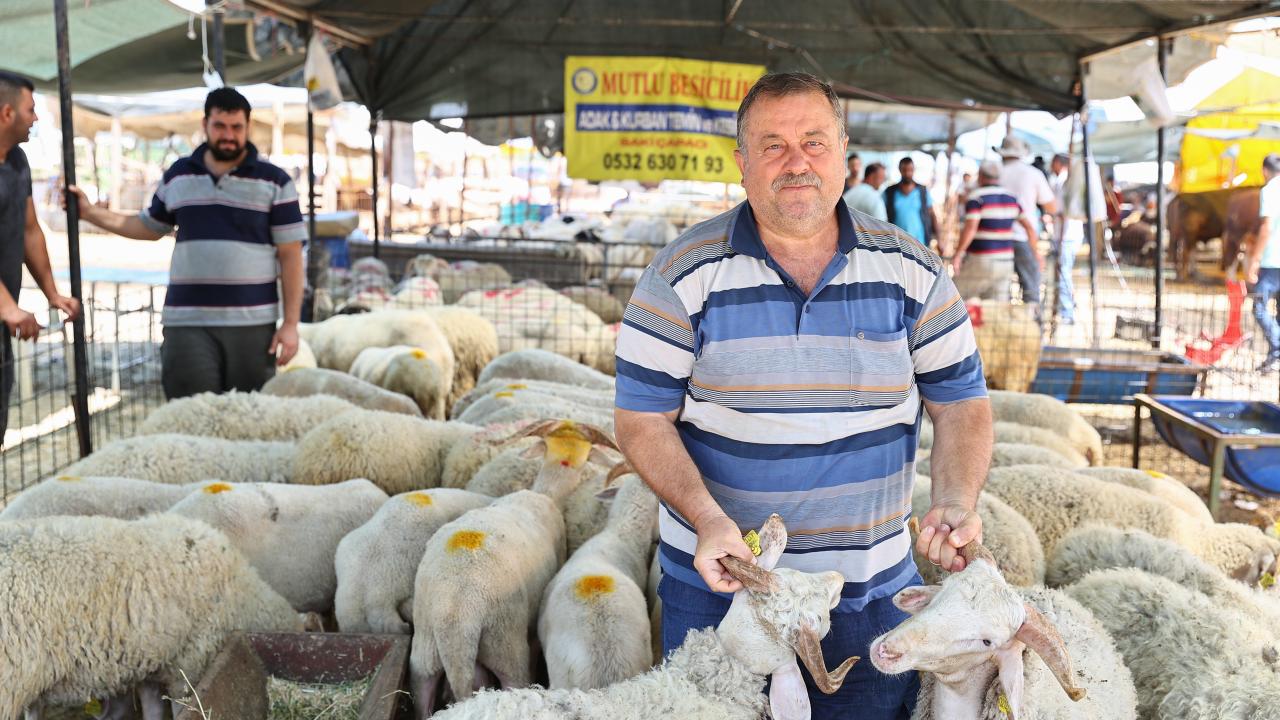 Bayram öncesinde genellikle çevre illerden ve Doğu bölgelerinden İzmir`e getirilen kurbanlıklar görücüye çıkıyor.
