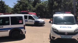 Gaziantep'te kafesinden kaçan aslan 3 kişiyi yaraladı