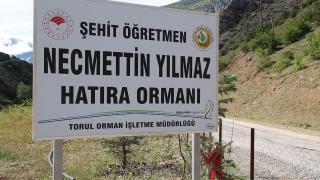 Necmettin öğretmen adına hatıra ormanı oluşturuldu