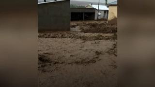 Erciş'te 13 köyde taşkın