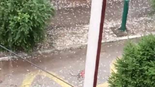 Balkanlar'ı sağanak vurdu: Sırbistan'da ceviz büyüklüğünde dolu yağdı