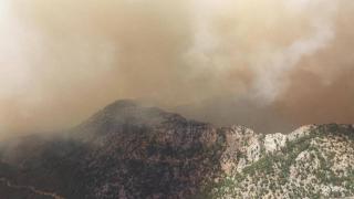 Mersin'de orman yangını: Müdahale sürüyor