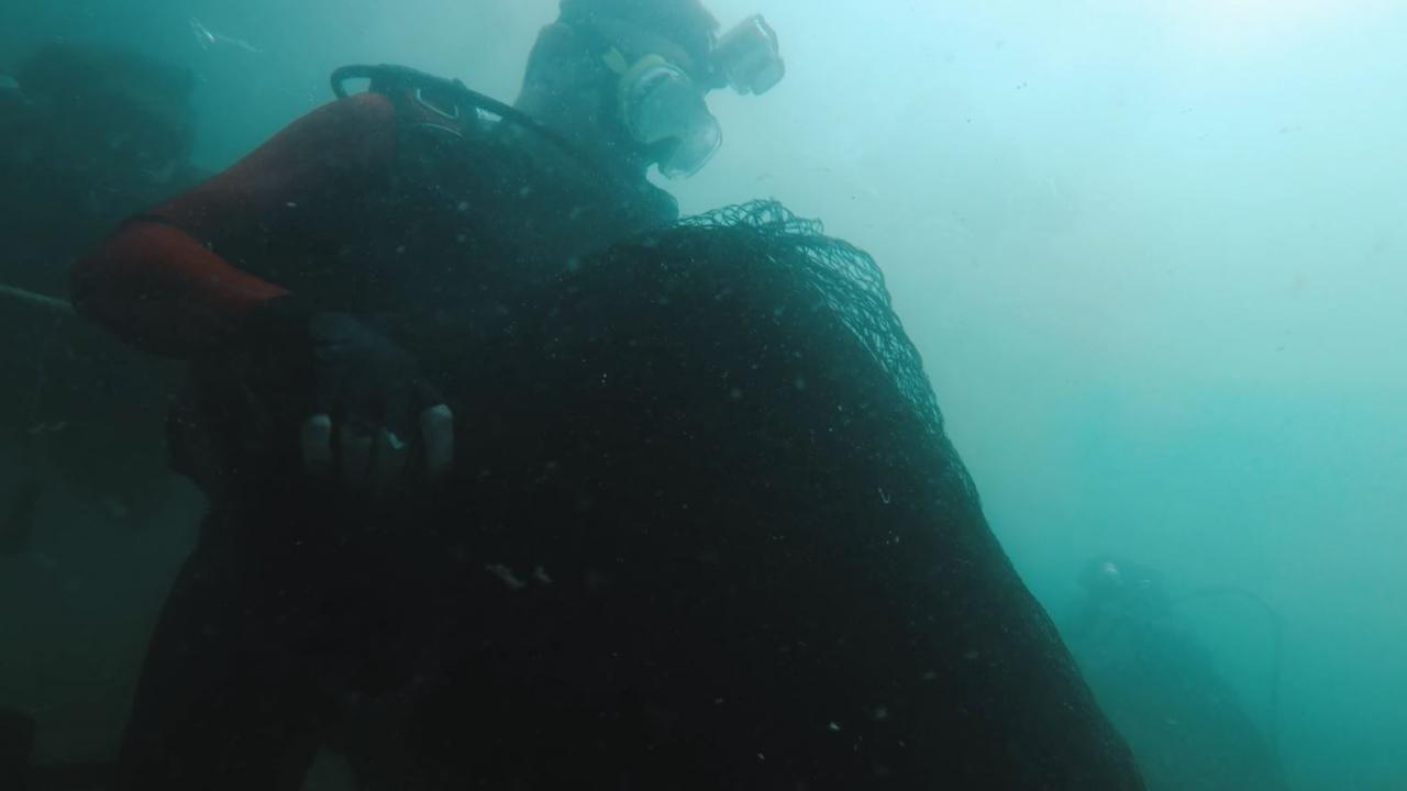 Denizdeki hayalet ağları çıkaran Bakan Pakdemirli: