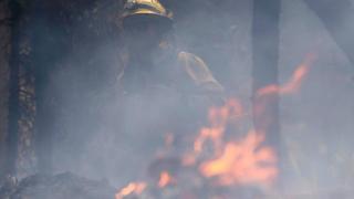 ABD'de New York City'den daha büyük ormanlık alan küle döndü