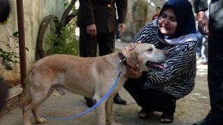 Şehidin can yoldaşını ailesi sahiplendi: Gazimi getirdiler