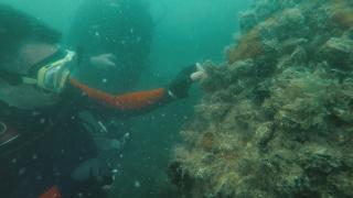 Bakan Pakdemirli, Marmara Denizinde dalış yaptı