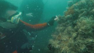 Bakan Pakdemirli'den farkındalık için özel dalış