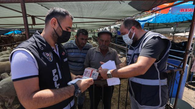İzmirdeki kurbanlık pazarlarında hareketlilik sürüyor