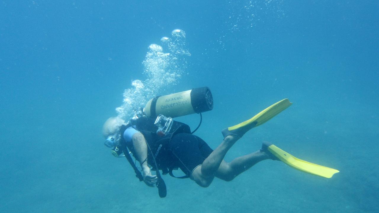 ‘Hayalet ağ’ sualtı yaşamını tehdit ediyor