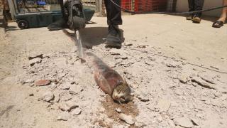 Boruya sıkışan kediyi itfaiye kurtardı