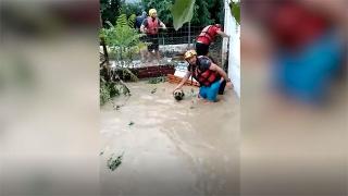 Artvin'de hayvan barınağı da sular altında kaldı