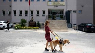 Görme engelli öğretmen rehber köpeği "Angel" ile daha özgür