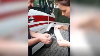 Yaralı kuşa 112 ekibi müdahale etti