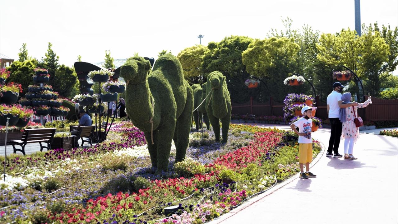 "Memleketim Konya gibi yeşili çok olan bir yer değil"