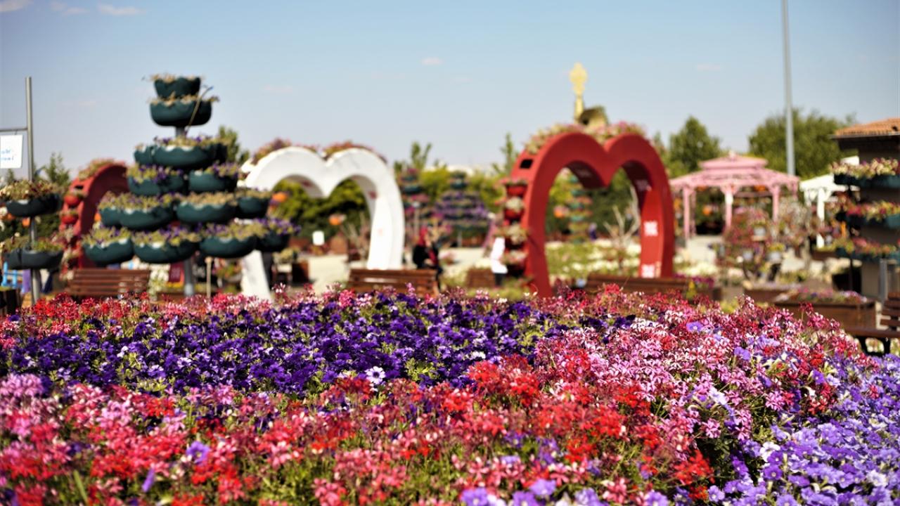 "Türk halkı burayı görmeli"