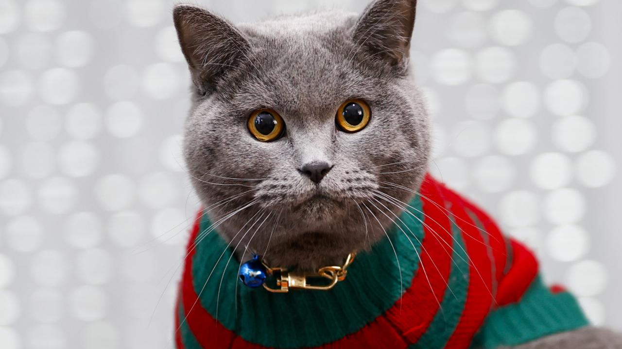 Enfekte oluyorlar ancak hastalanma oranları düşük