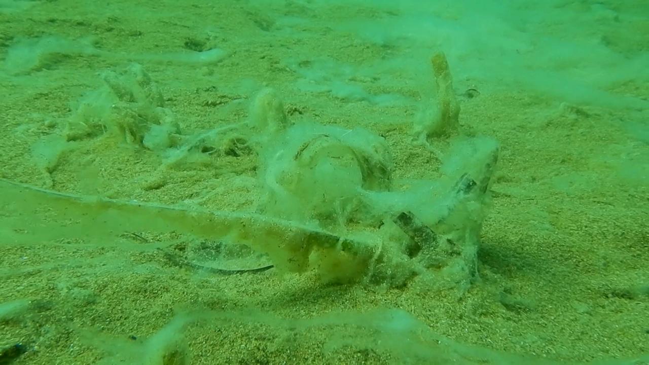  "Tehlikeli sonuçlar doğurabilir"