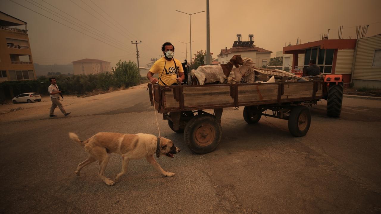 Side kavşağında ikinci yangın: 2 mahalle boşaltıldı