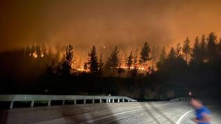 Adana'daki orman yangını nedeniyle 5 köy tahliye edildi