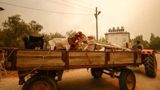 Manavgat yangınından çarpıcı görüntüler