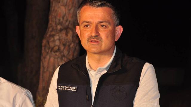 Bakan Pakdemirli: Yangının çıkış nedeni netlik kazanmadı
