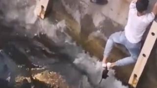 Denize düşen yavru kediyi ayaklarıyla kurtardı