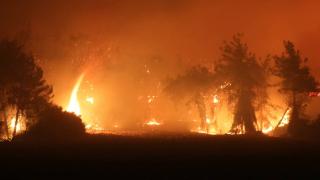 Adana ve Osmaniye'de 23 ayrı noktada orman yangını