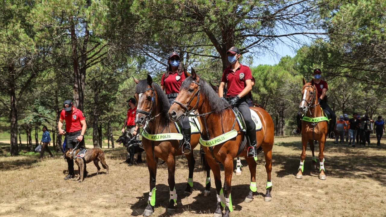 Sultangazi Kent Ormanı-İstanbul 