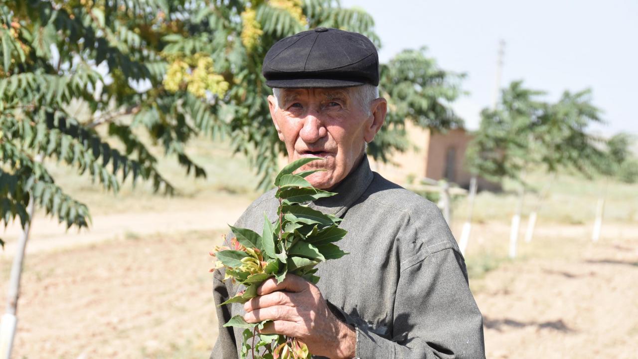 "Son nefesime kadar dikmeye devam edeceğim"