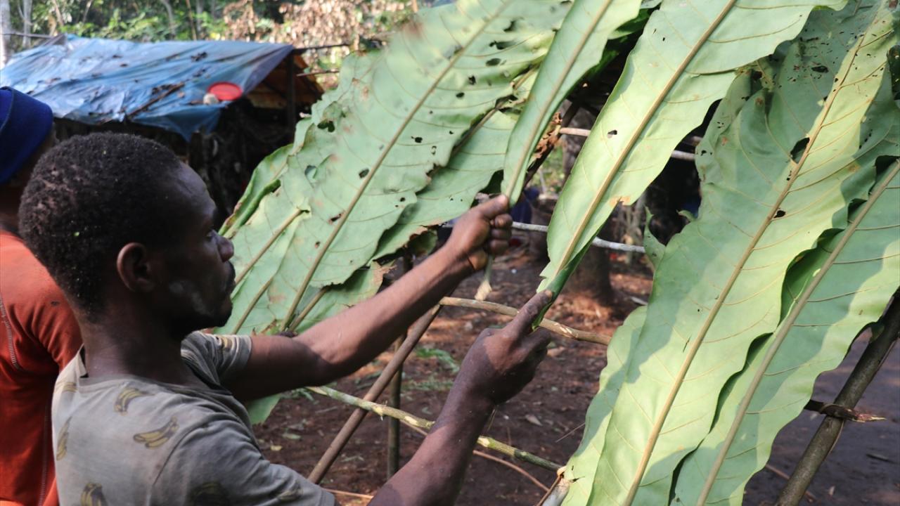 Nzon ve Mbunde ağacından yaptıkları evlerde yaşıyorlar