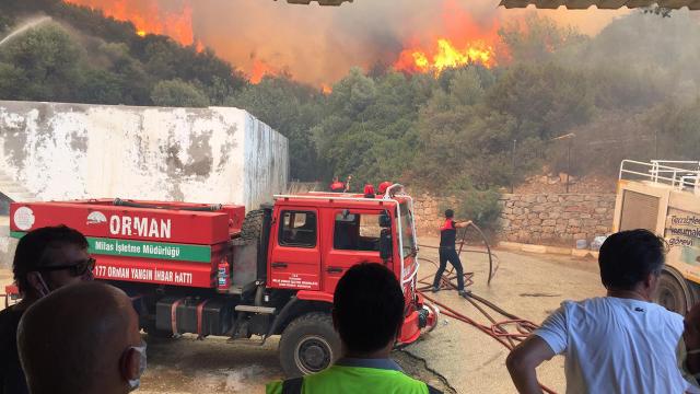 Bodrumda makilik ve ormanlık alanda çıkan yangın kontrol altında