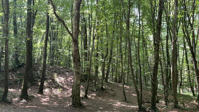 Mesire alanlarında piknik ve spor yapılabilecek