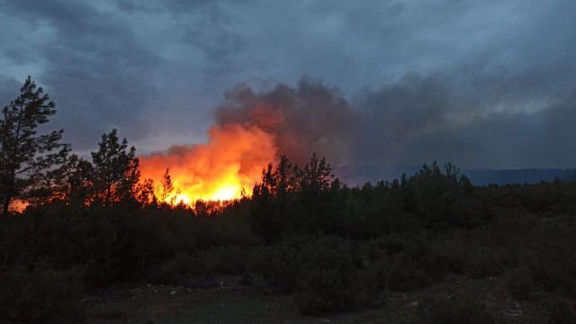 Muğla Kavaklıderedeki yangın kontrol altına alındı
