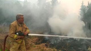Şehit orman işçisinin son görüntüsü