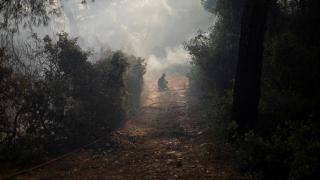 Akdeniz ülkeleri orman yangınlarıyla mücadele ediyor